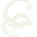 オゴポコ