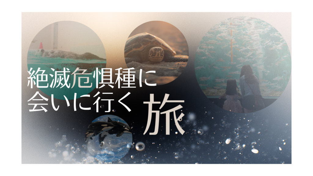 canvaで制作した画像